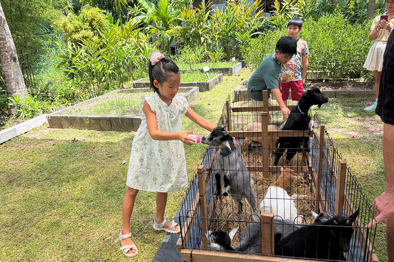 Quiet Living, Local Lifestyle & A New Generation of Villas